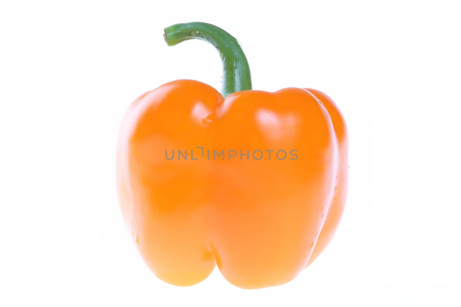 Vegetables, Bulgarian Pepper, Orange by Astroid