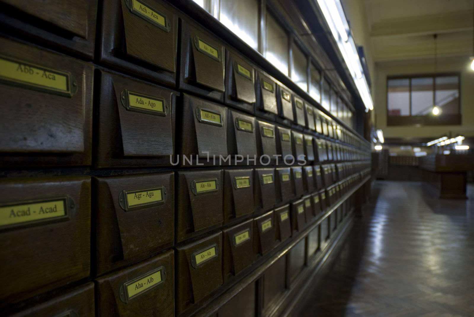 Perspective shot of Montevideo's Library's wooden file