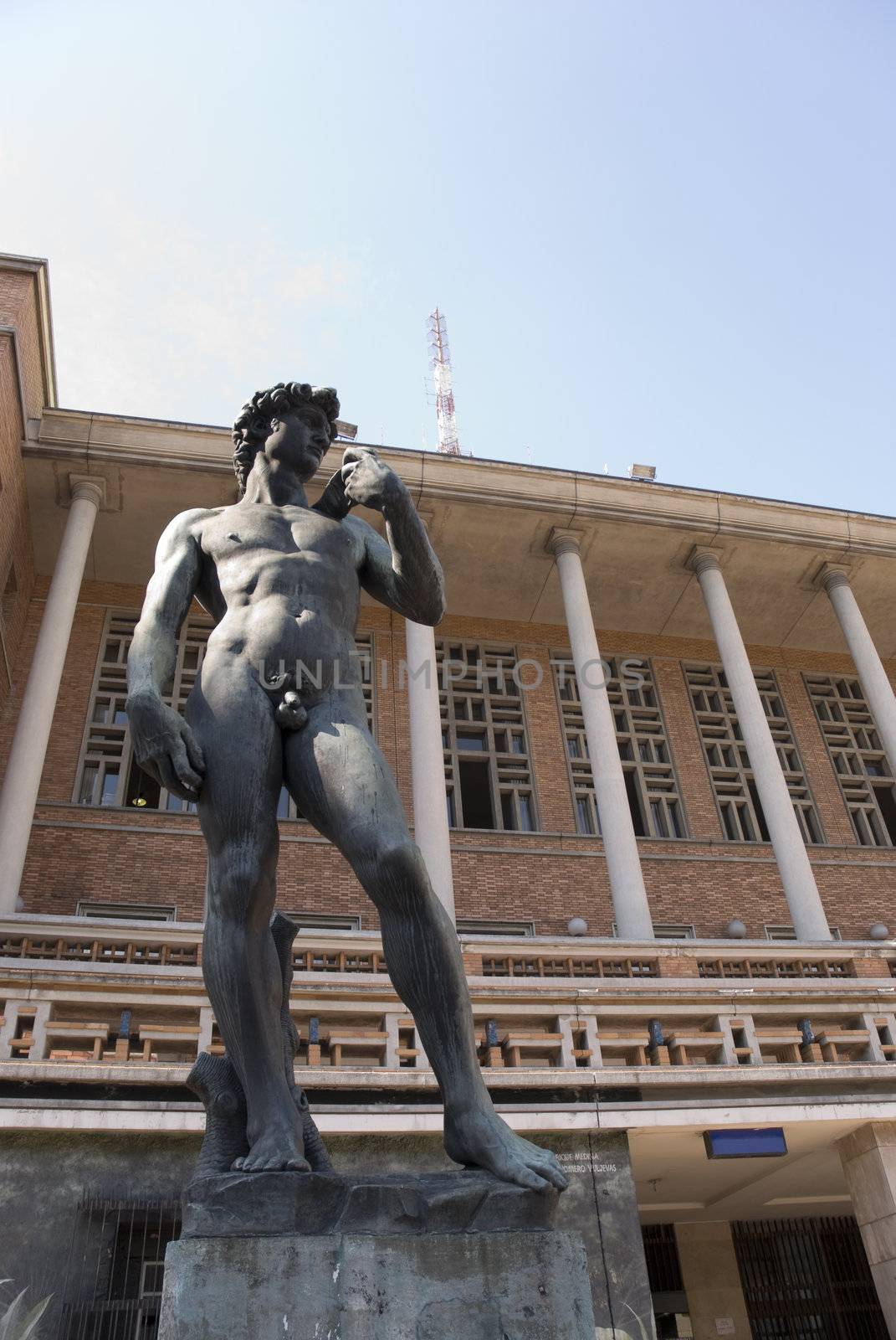 One f the three Michelangelo's David replicas is in  Montevideo, Capital of Uruguay, in front of the Palacio Municipal.