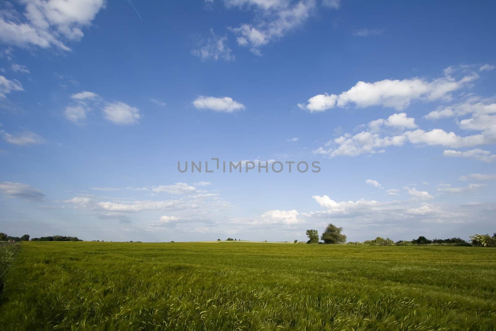 Non-urban field in southern Poland