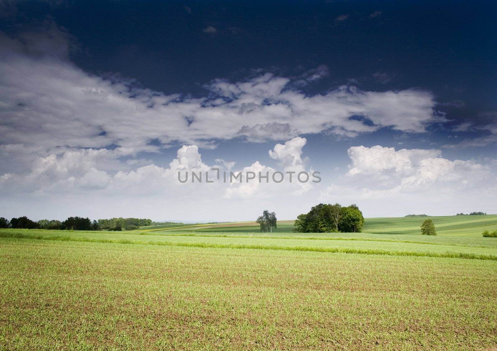 Farm field by shiffti