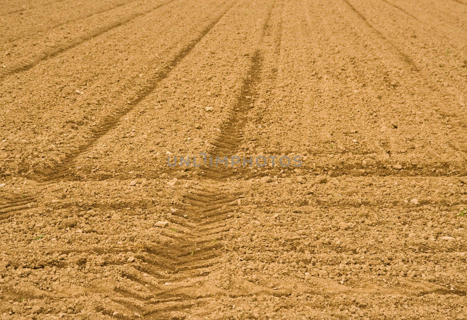 Prepared soil, waiting to be seeded. With tractor tracks.