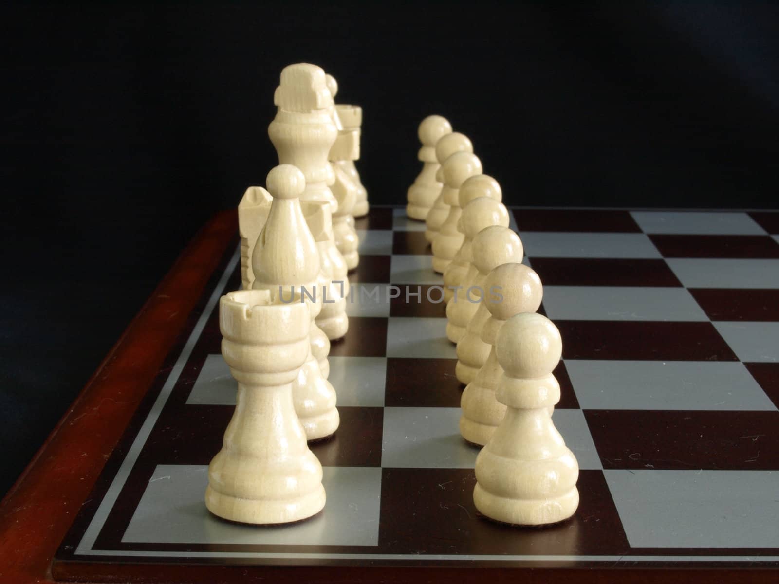 Bone white chess pieces ready to start the game