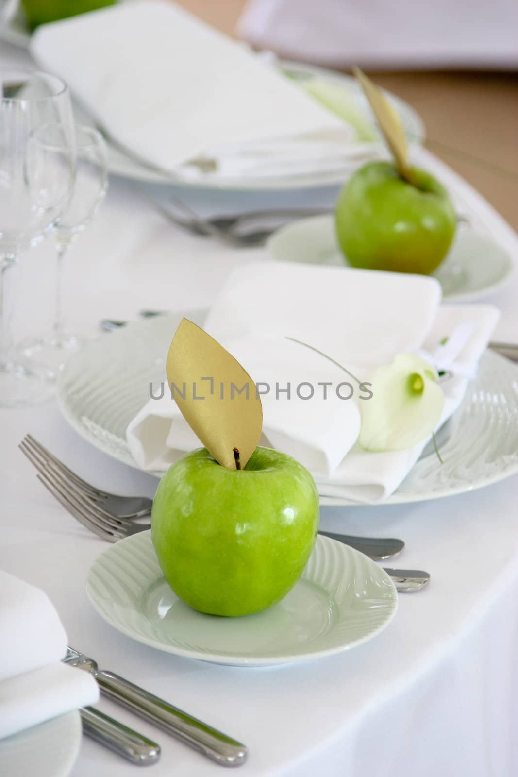 apples and flower on plates by jalta