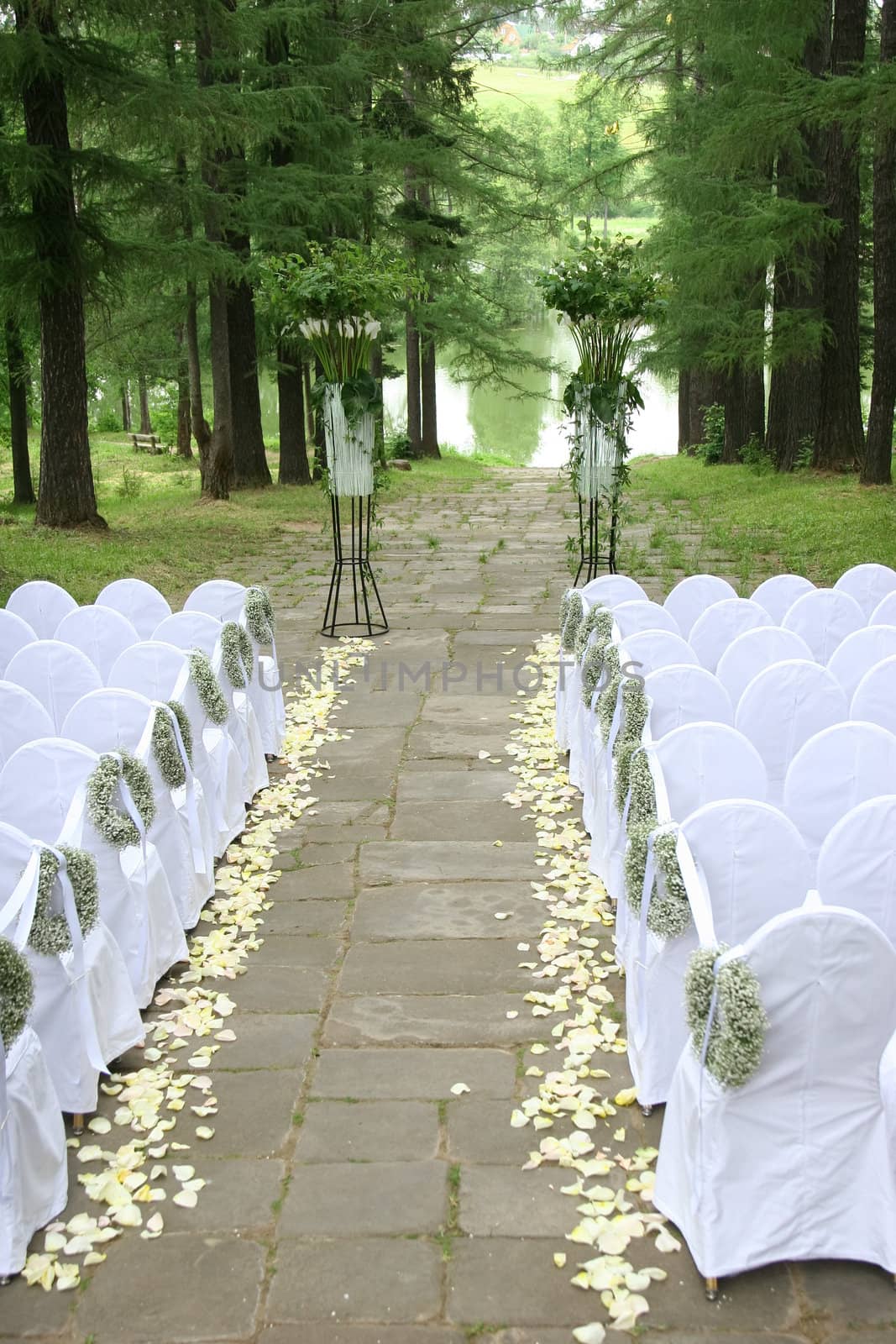 Expectation of wedding in fine park with a pond on white chairs, выстоенных beside