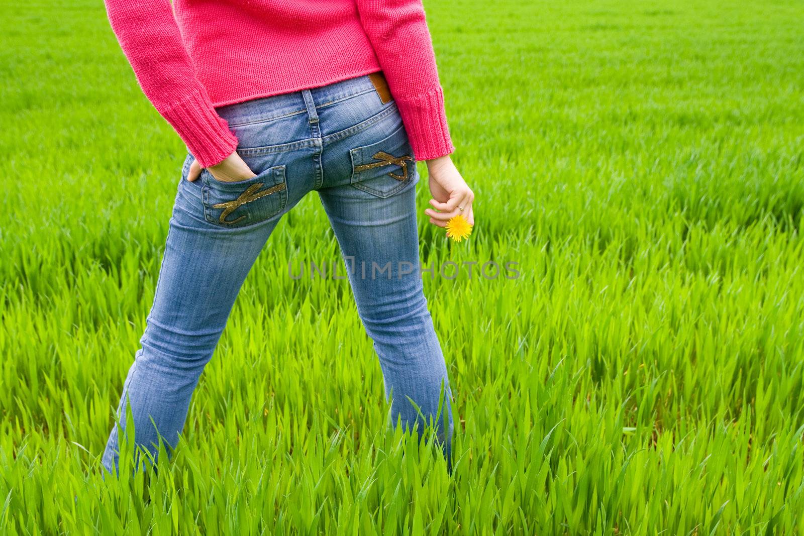 Woman from behind standing in grass, holding flower. Copy space on right. Horizontal