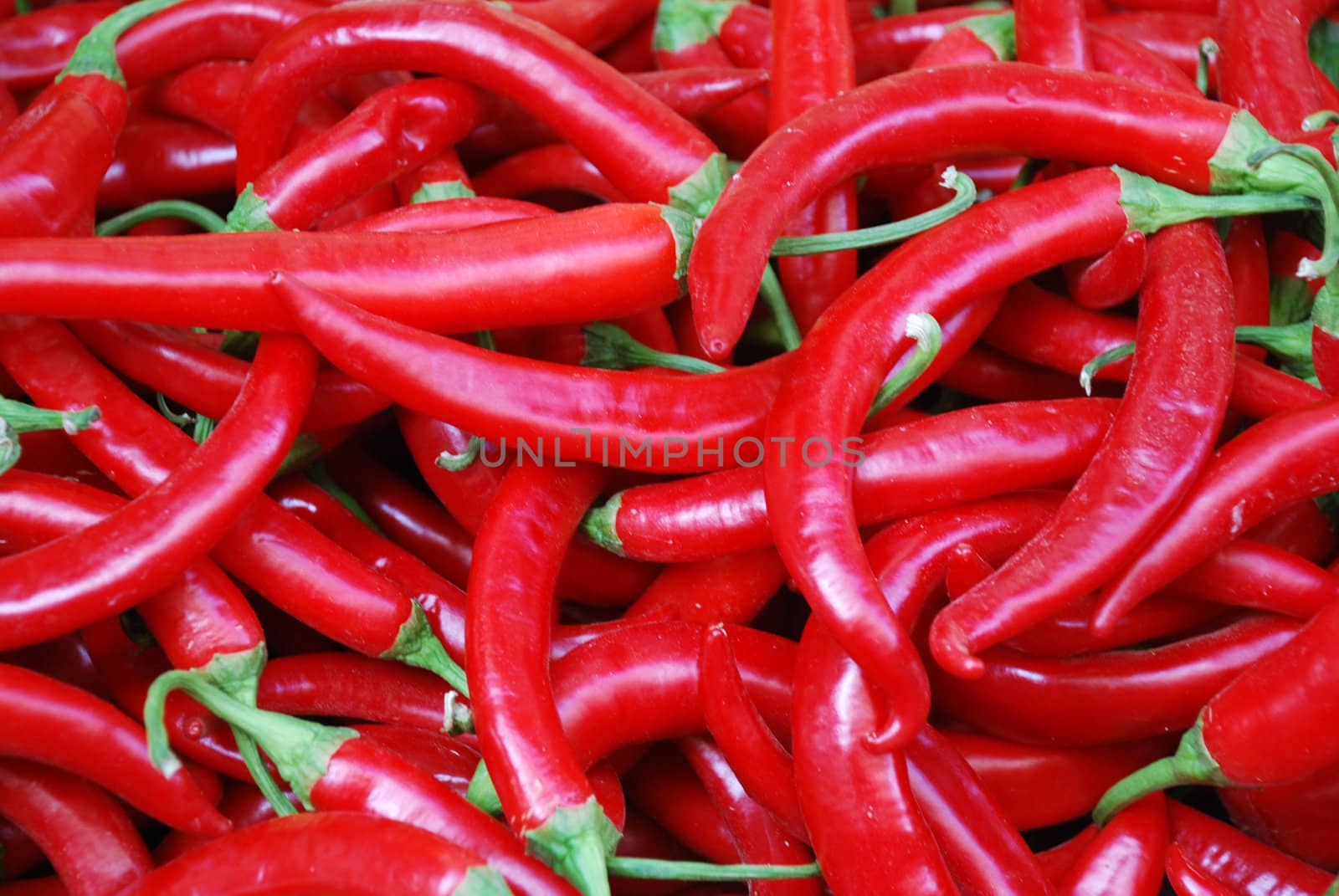 Red Pepper