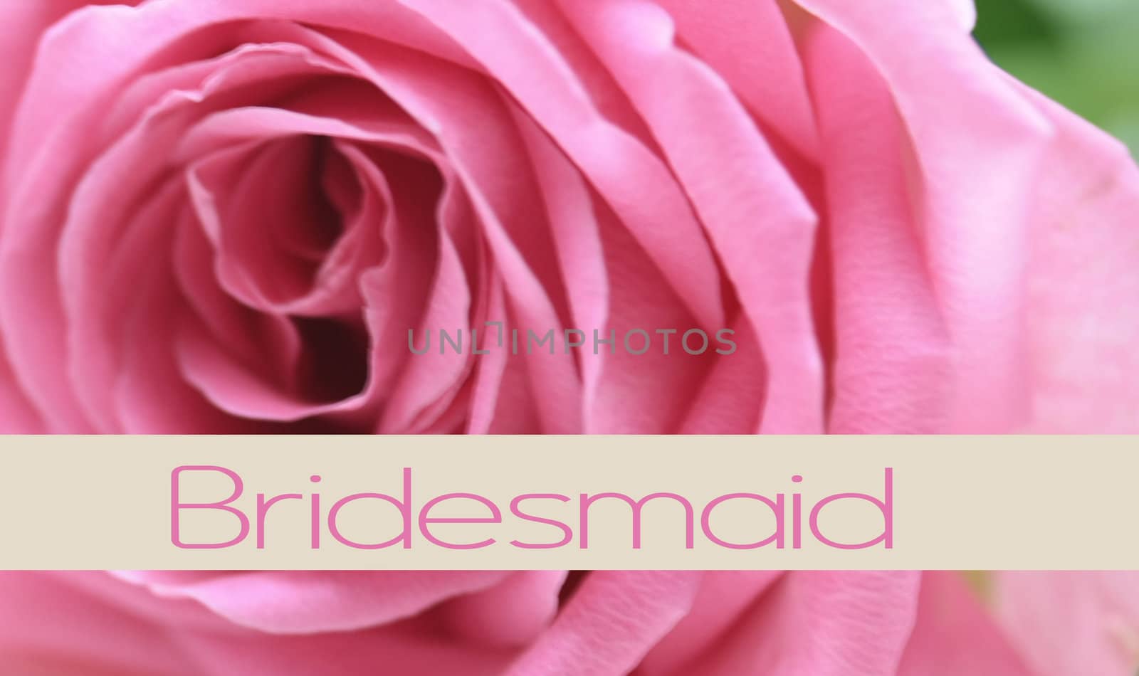 pink rose card for a bridesmaid