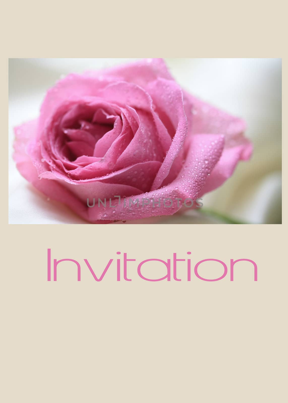 Pink rose card to announce the wedding date