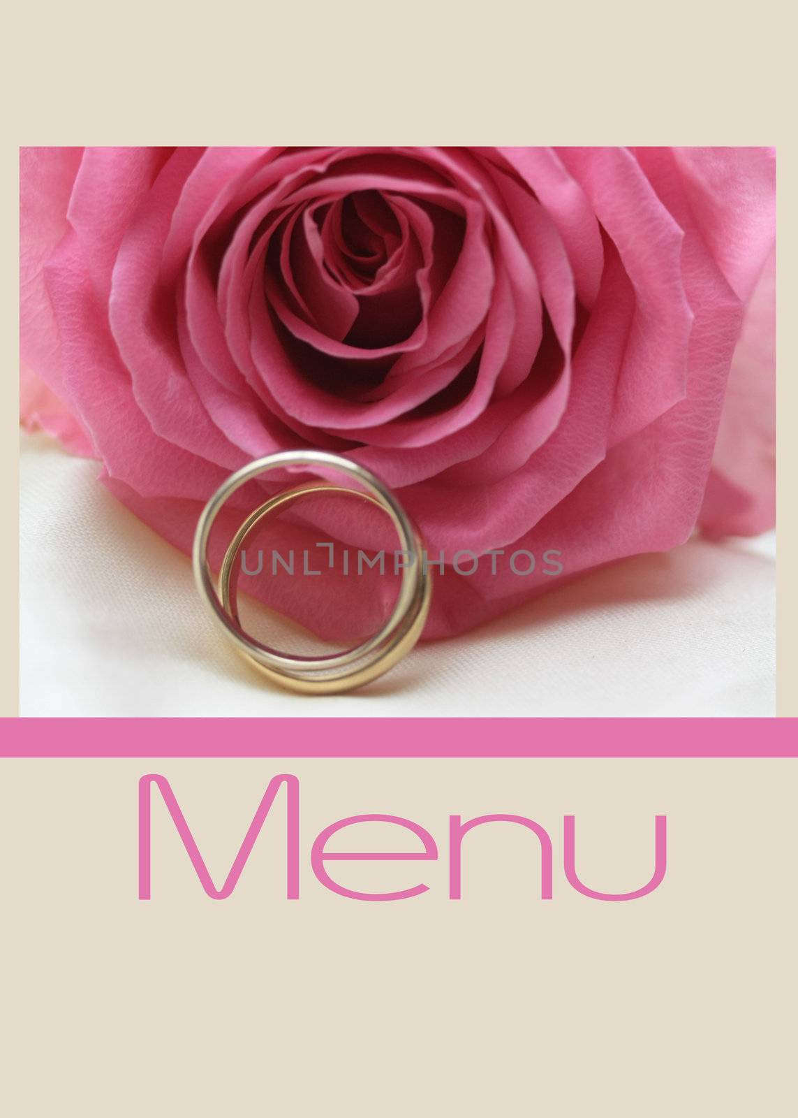 pink rose menu card by studioportosabbia
