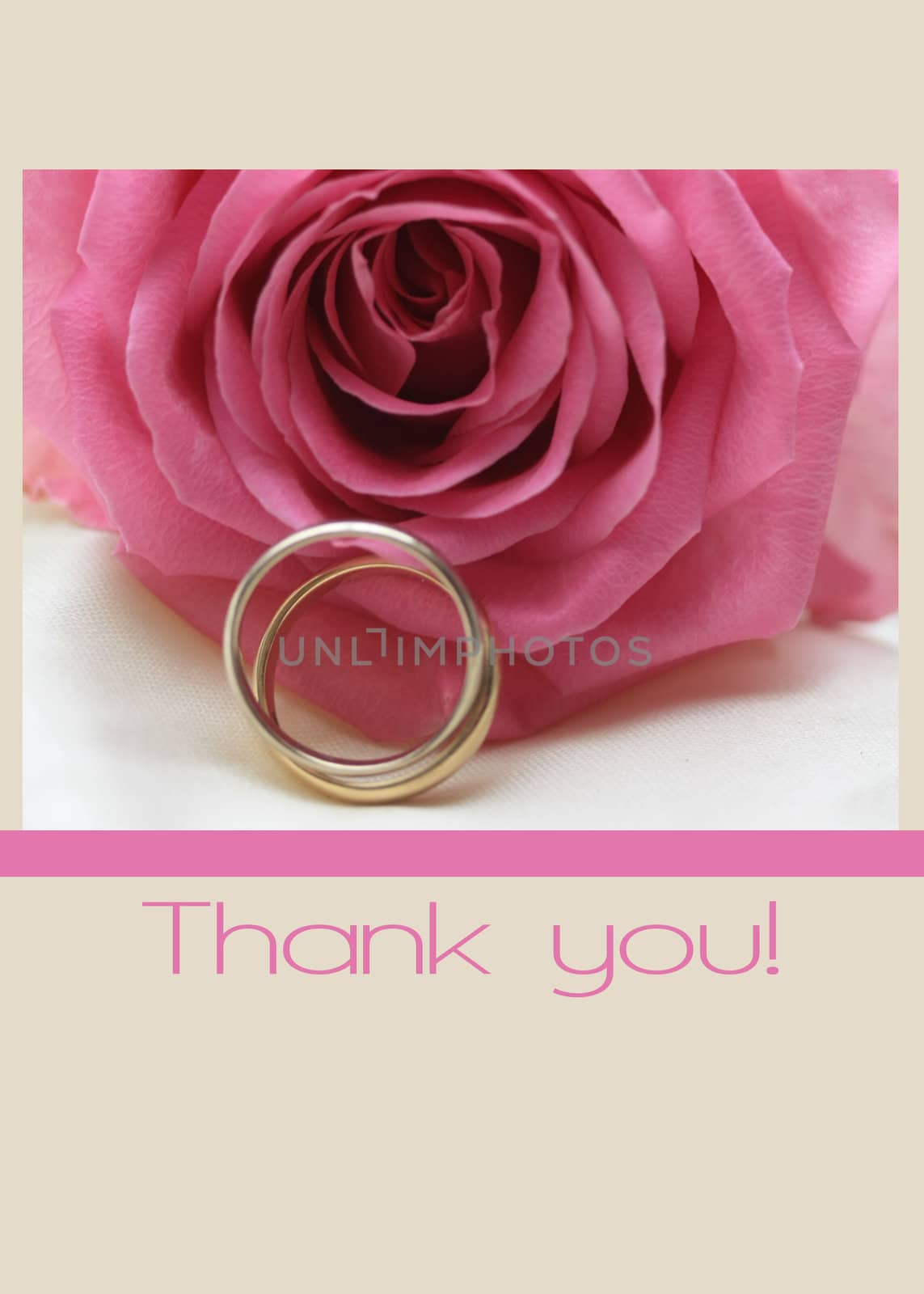 pink rose card thank you with copy space