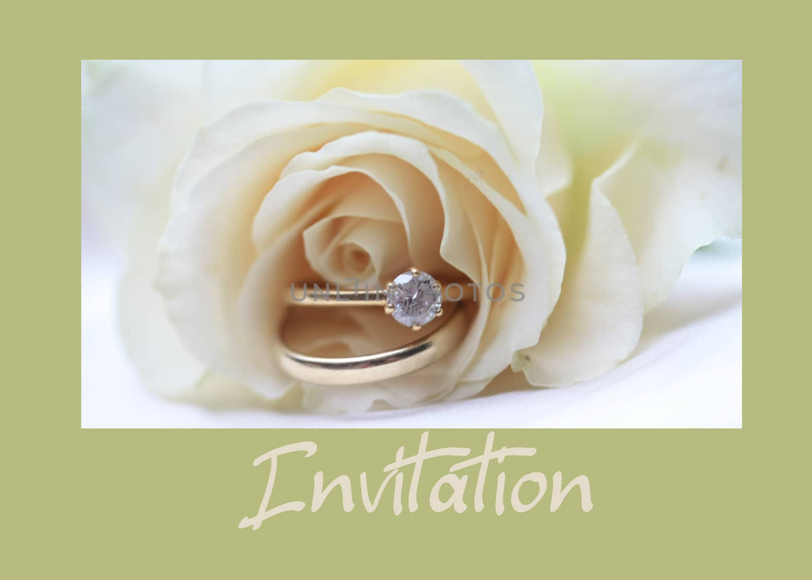 white rose card for (wedding) invitation