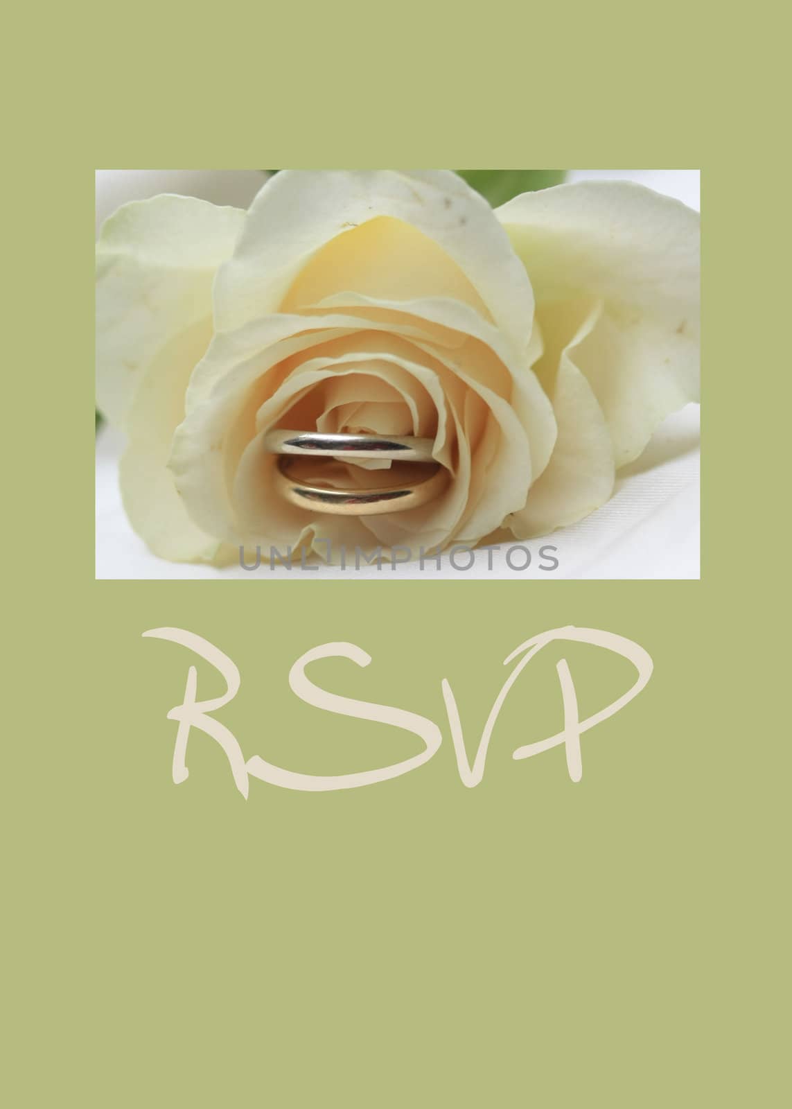 white rose card - print and post - RSVP by studioportosabbia