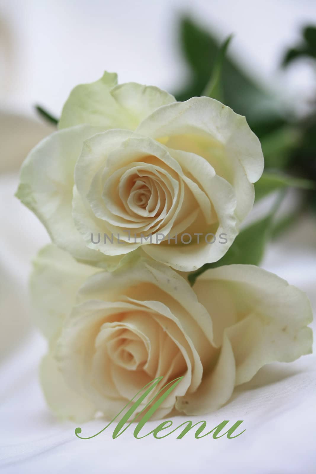 Menu card with two white roses, perfect for a (wedding) menu