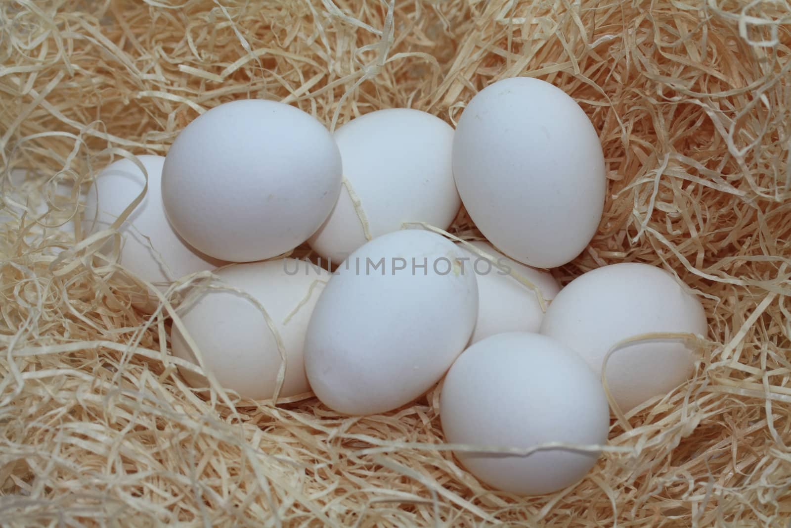 A group of white eggs in hay