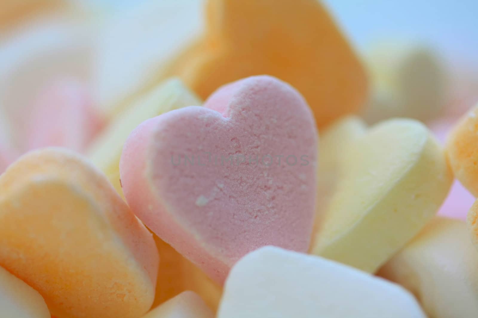Valentine candy hearts in close up, sweet colors