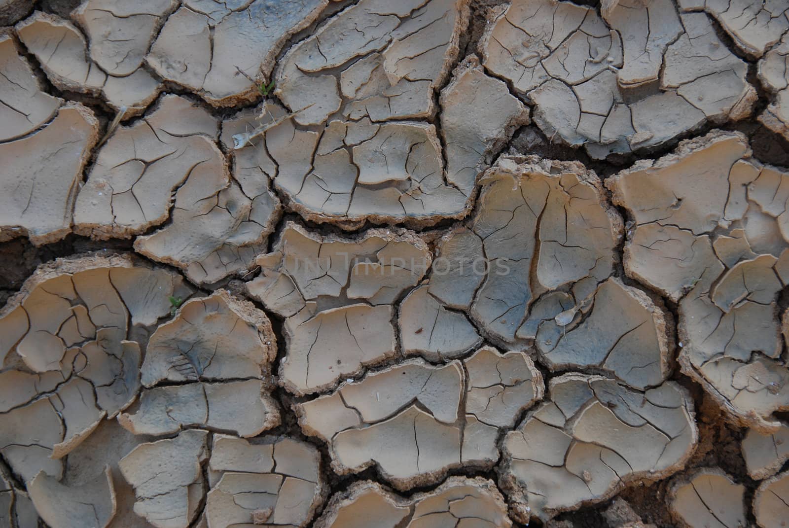 Kind of cracked earth in dry desert