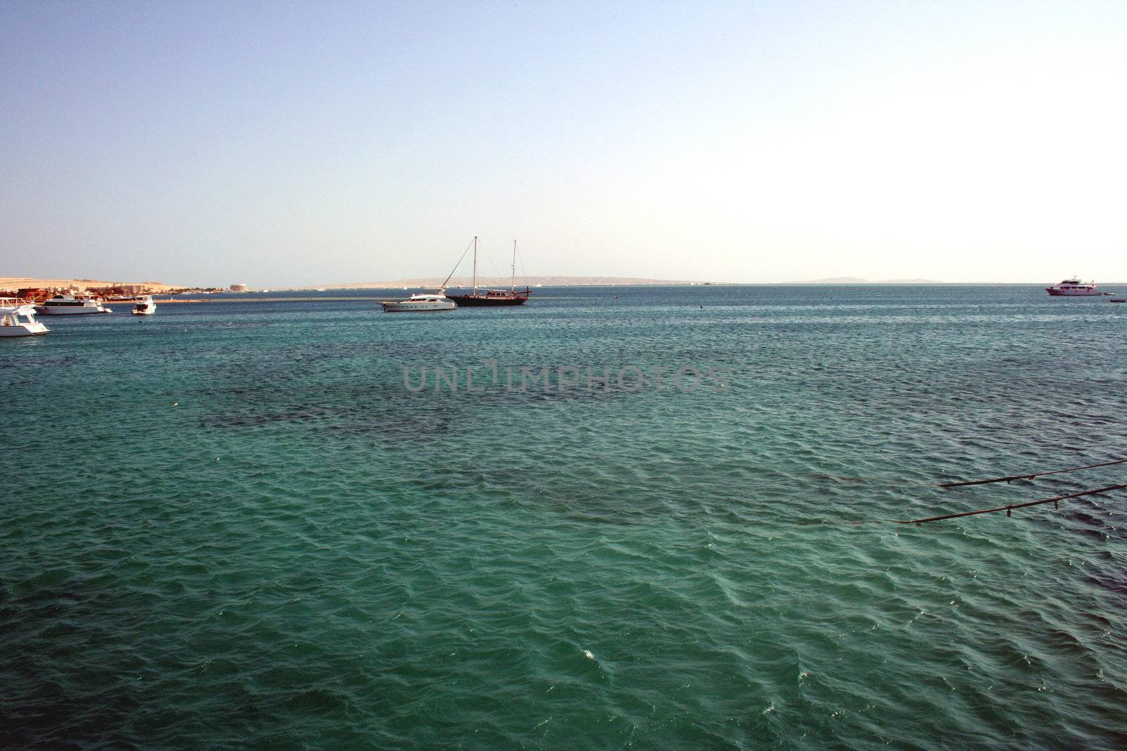 Red sea. Reef near Hurgada town.