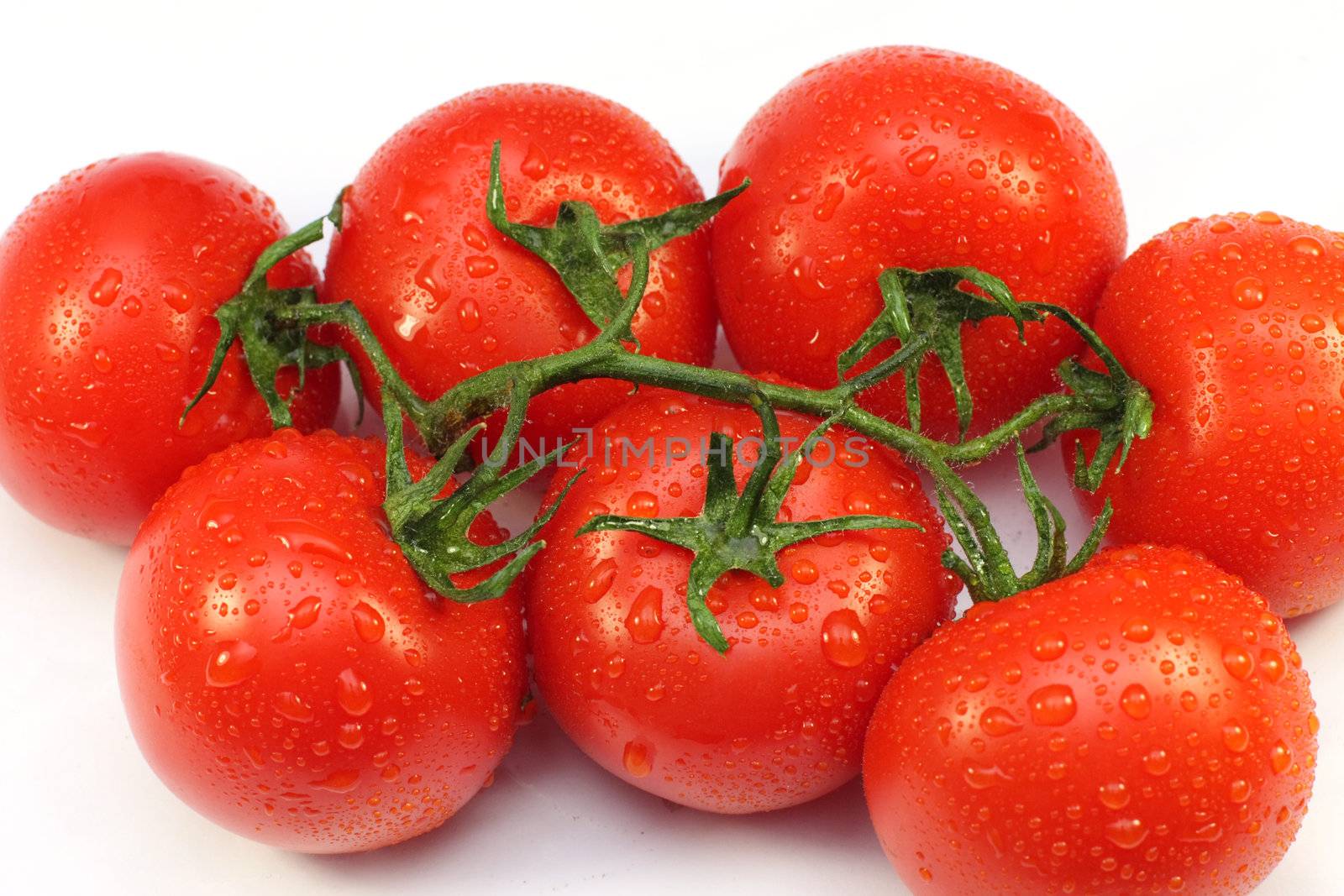 tomato, branch, red, wet, a vegetable, vitamins, water, meal, food 