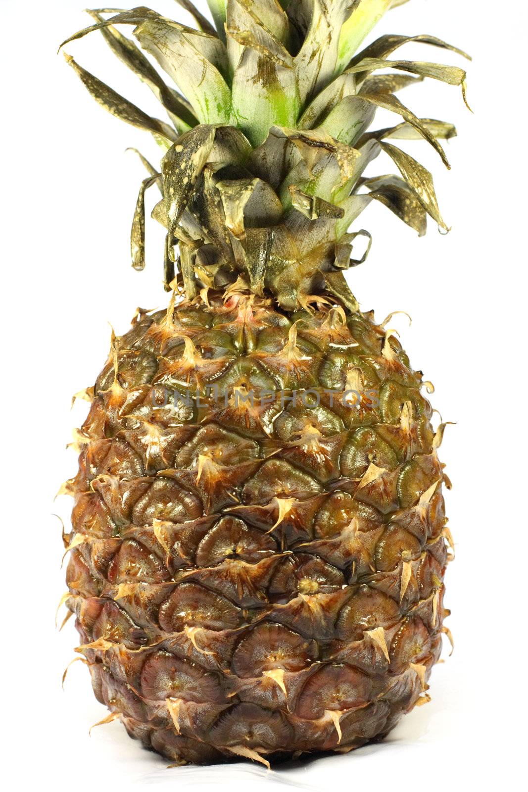 Pineapple by fedlog
