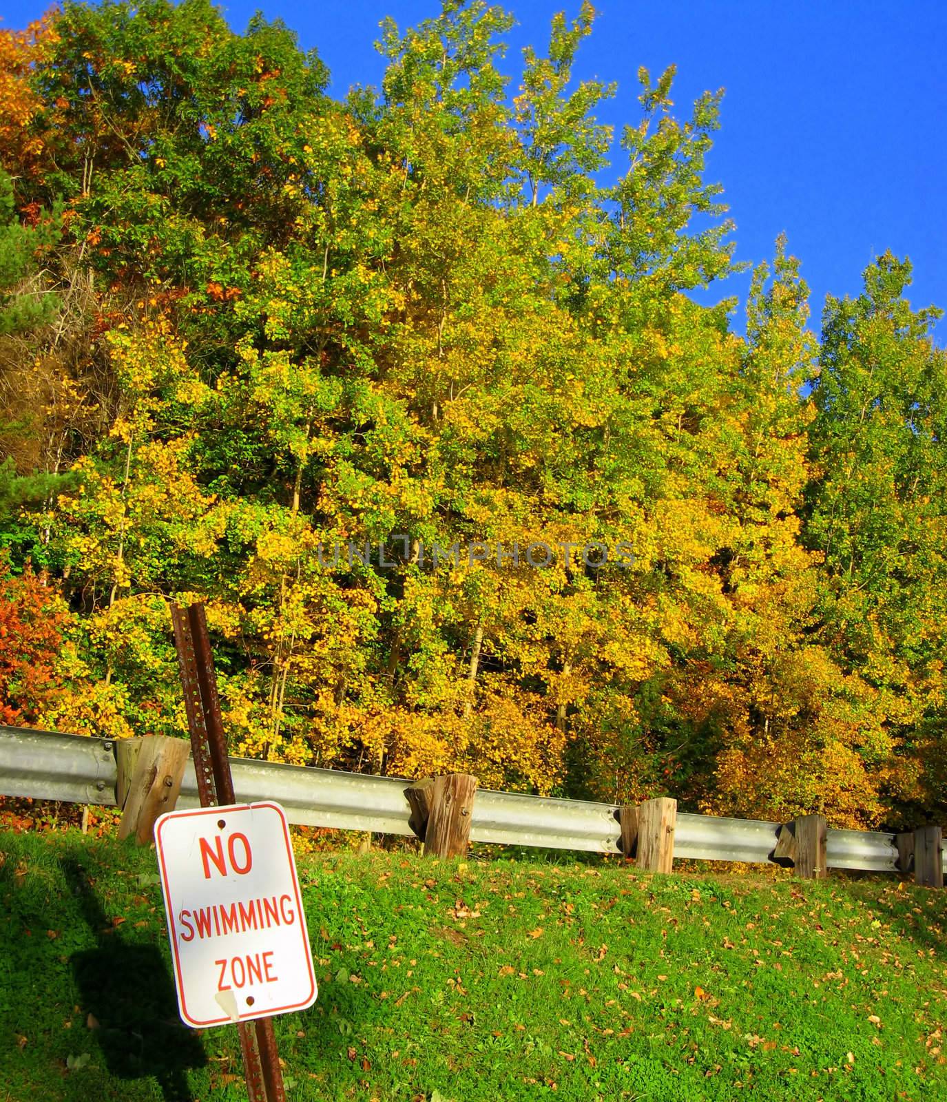 A comical "no swimming" sign next to a forest of trees