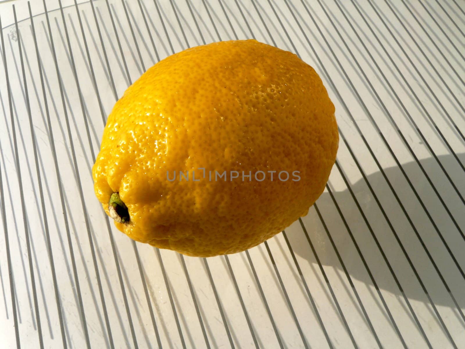 Lemon on stripped background