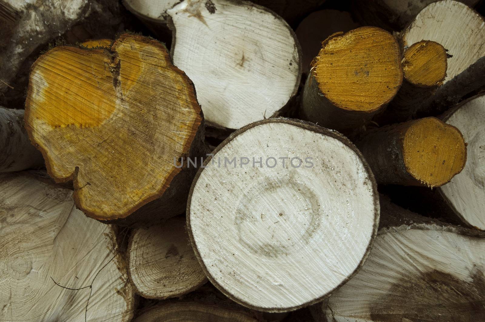 Chopped trees laying on the logs storage, taken in Finland