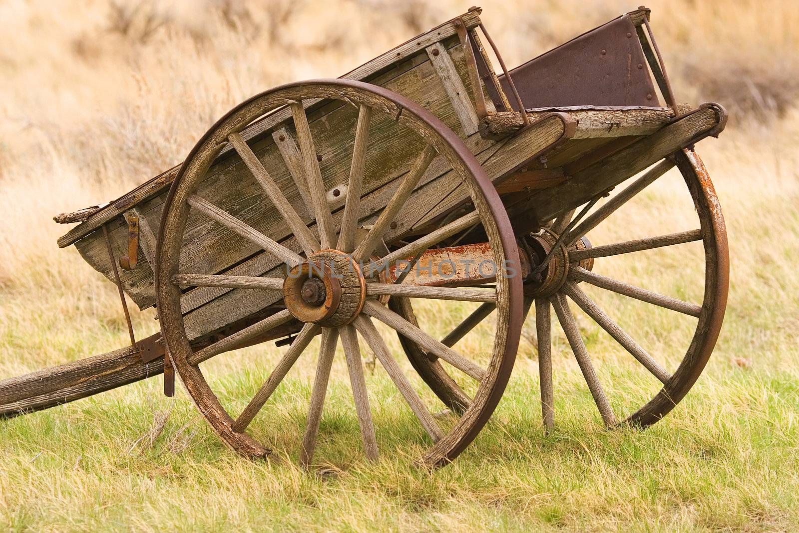 Rusty old wagon out in the field