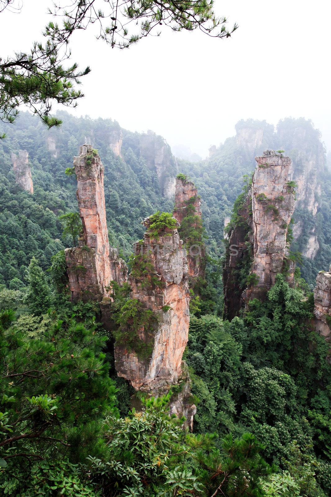 The breathtaking landscape in ZhangJiaJie a national park in China 
