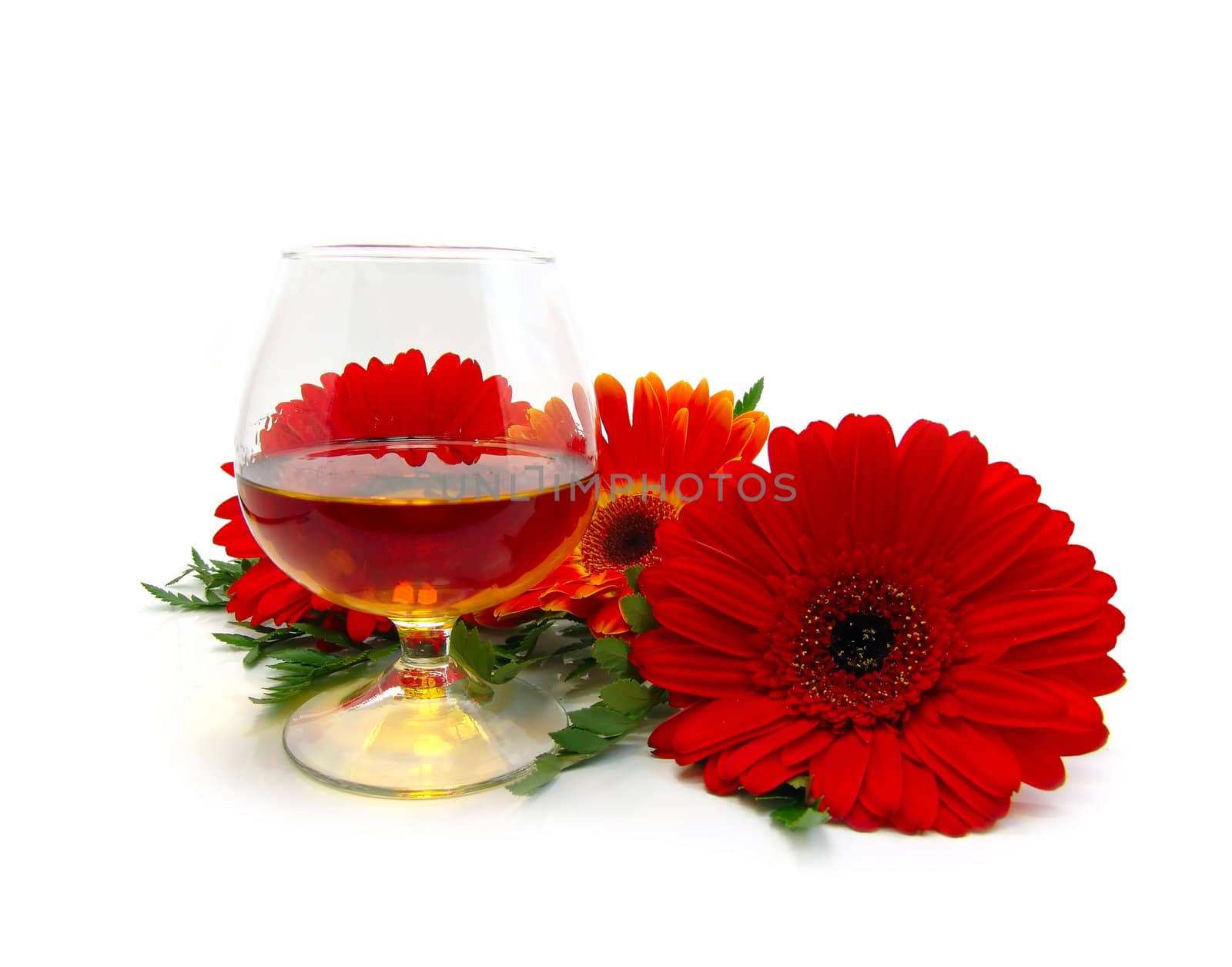 cognac and red flowers on a white background                        