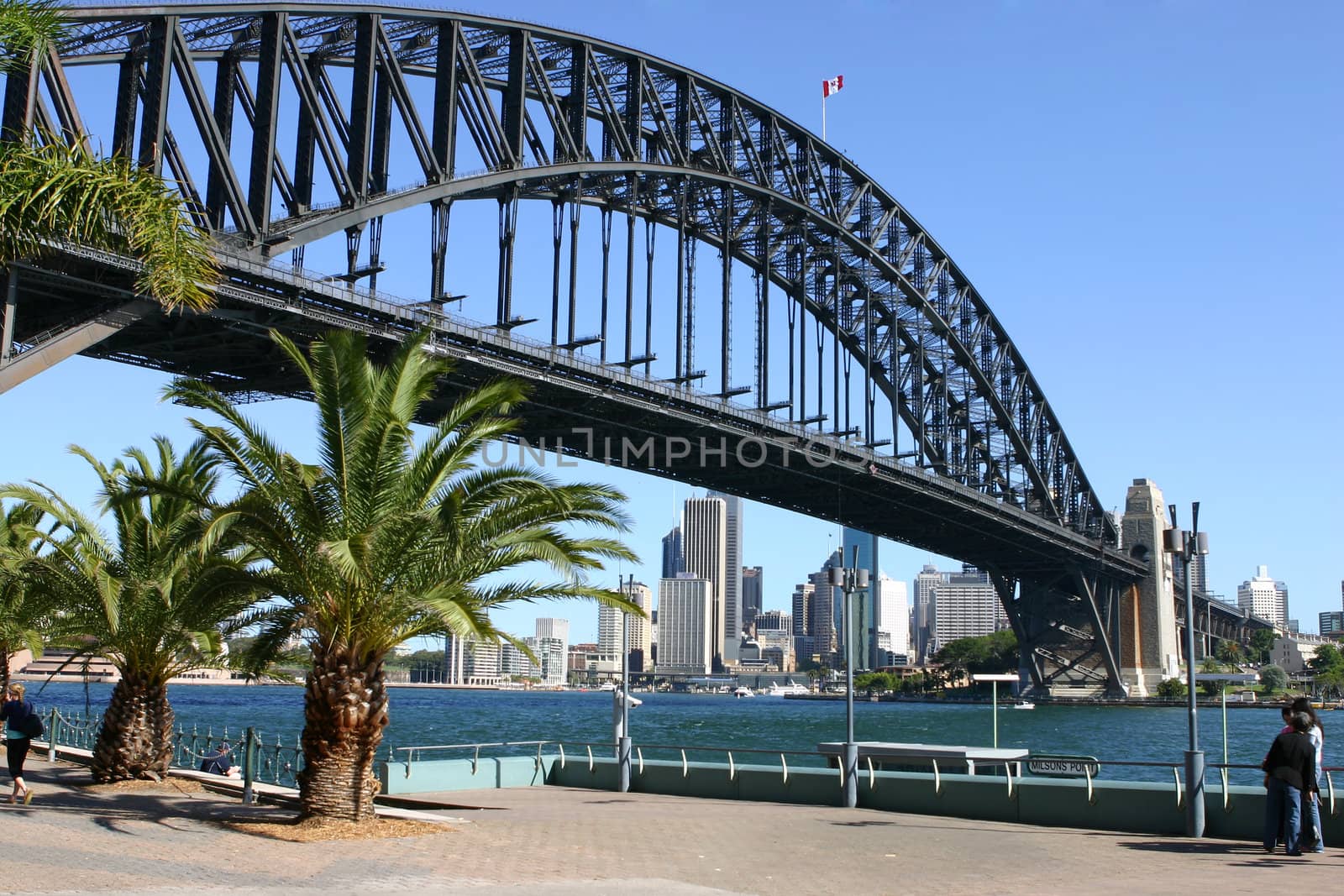 View of Sydney Harbour, Sydney Harbour Bridge and the city of Sydney from Milson's Point.