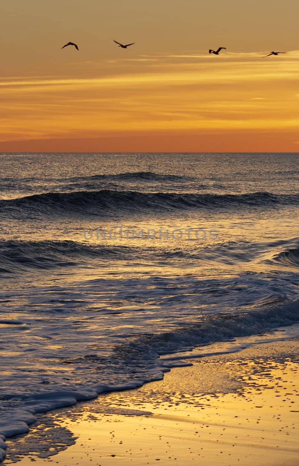 a picture of ocean water and sand