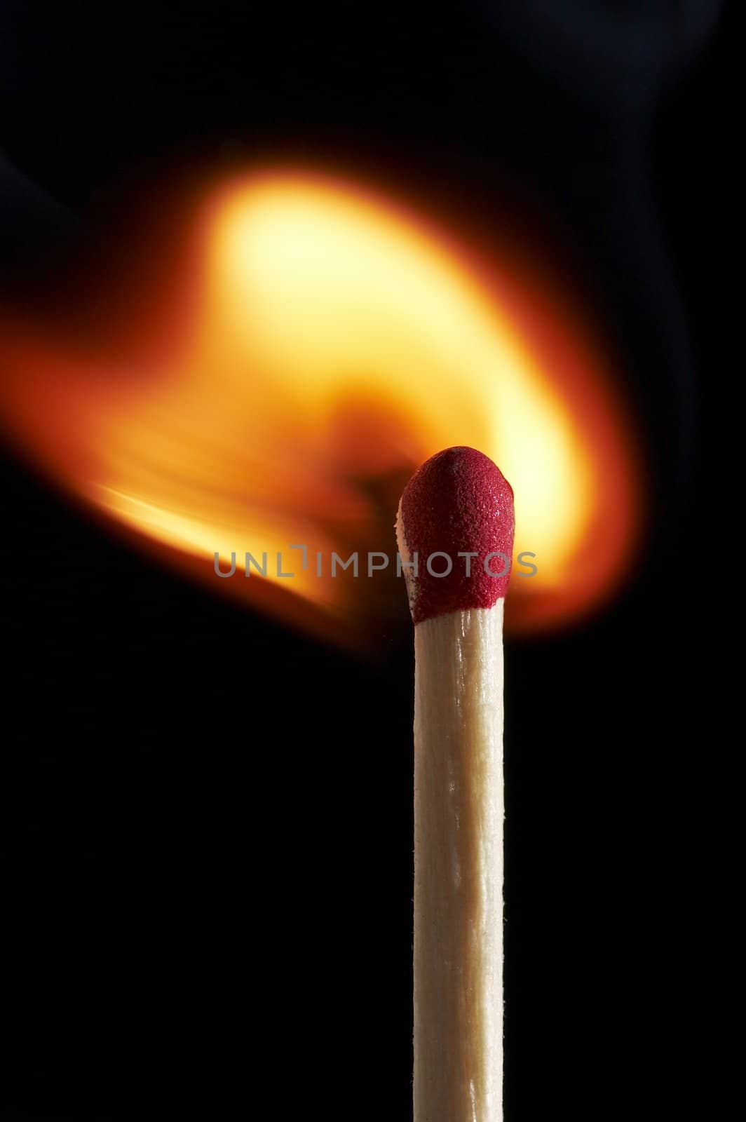 close up macro of a match on fire