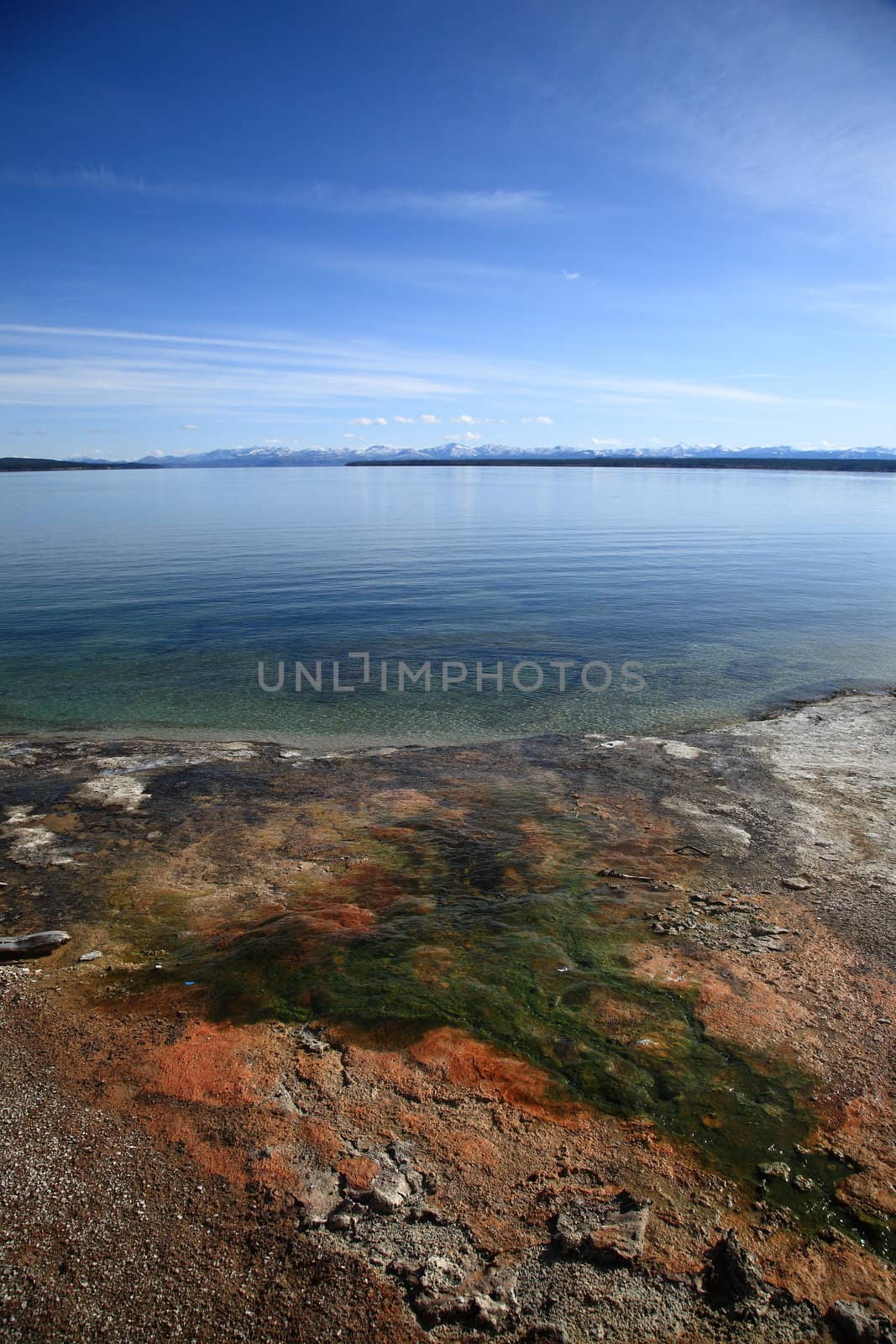 Colorful geothermal hot springs on the shore of Yellowstone Lake