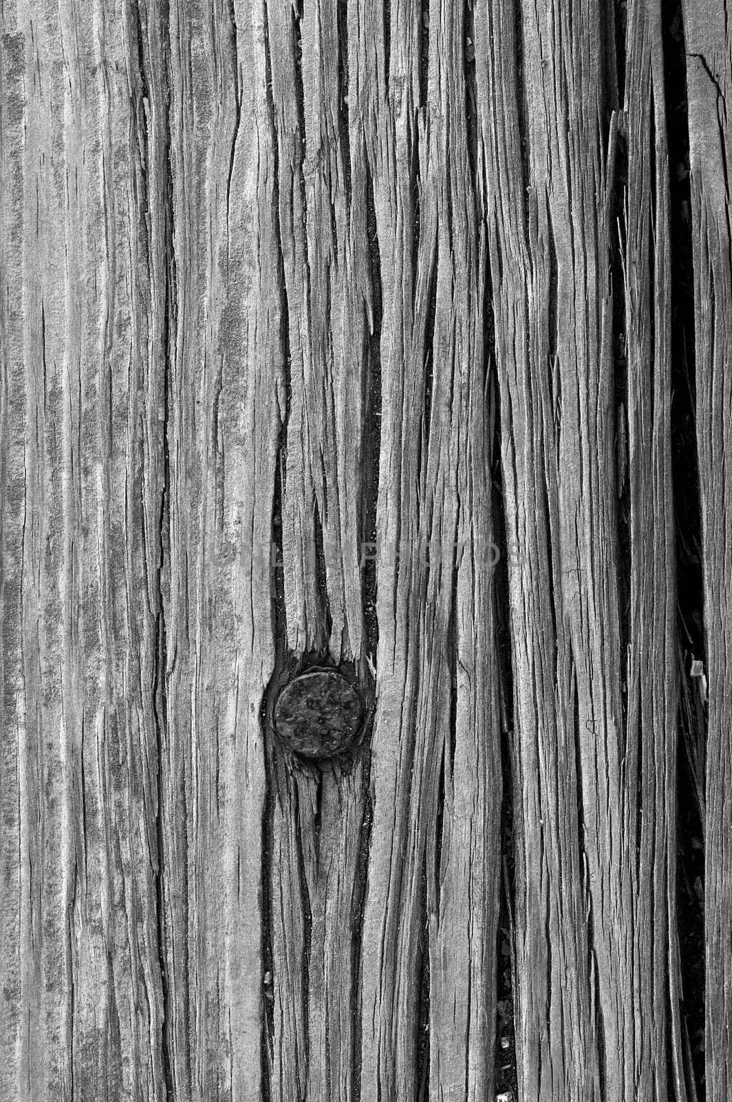 a macro picture of old wood and nail