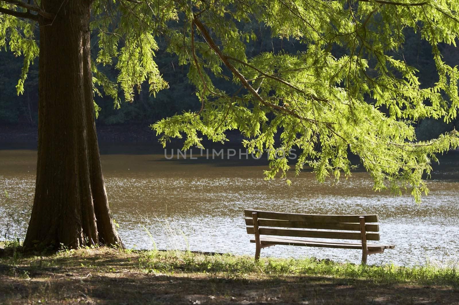 park bench in the early fall by water