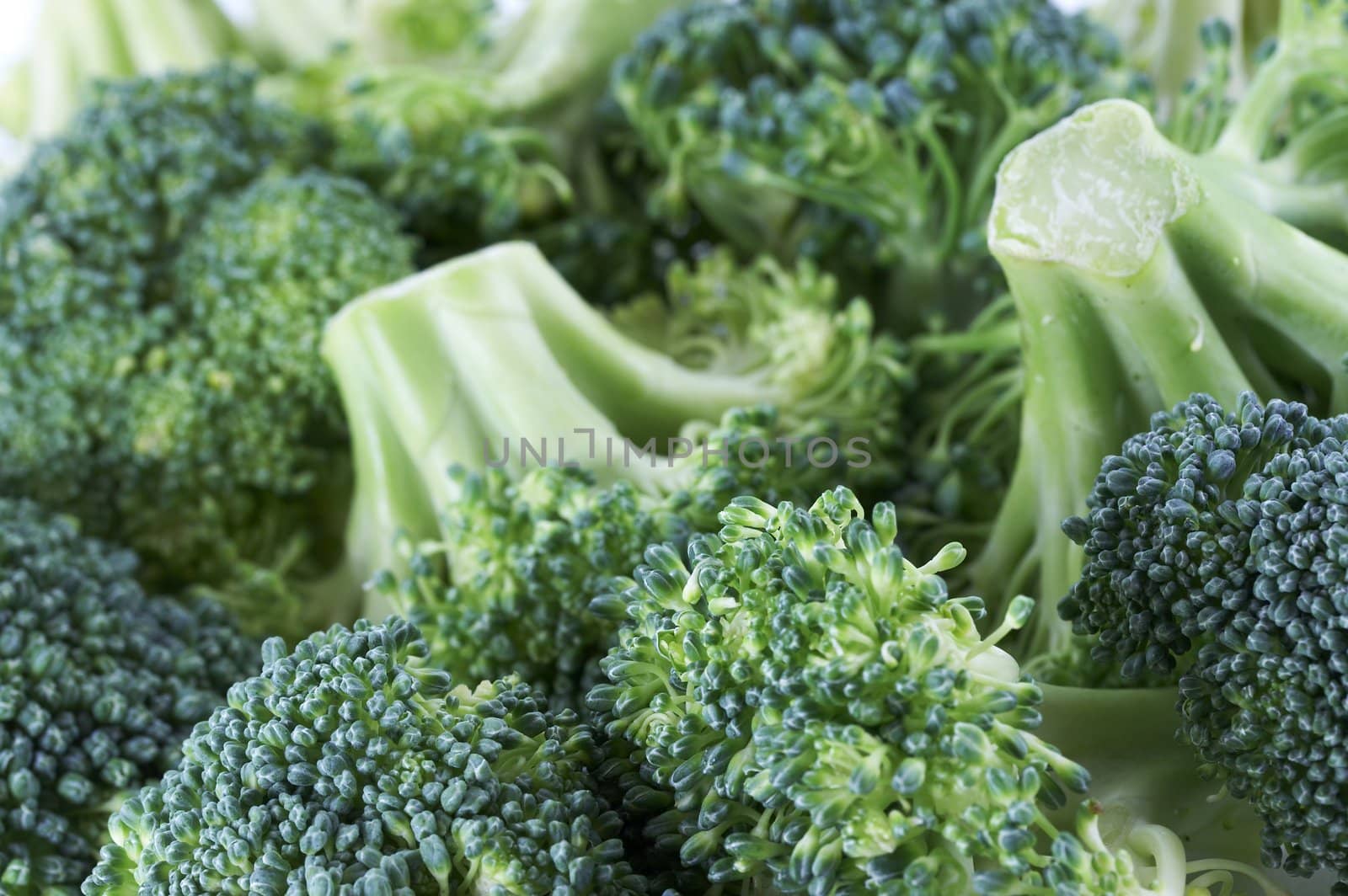 a close up macro of green vegetable