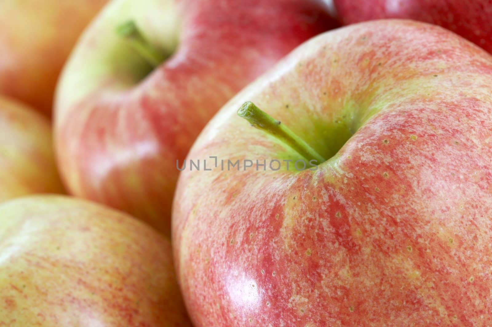 a close up macro of fresh gala apple