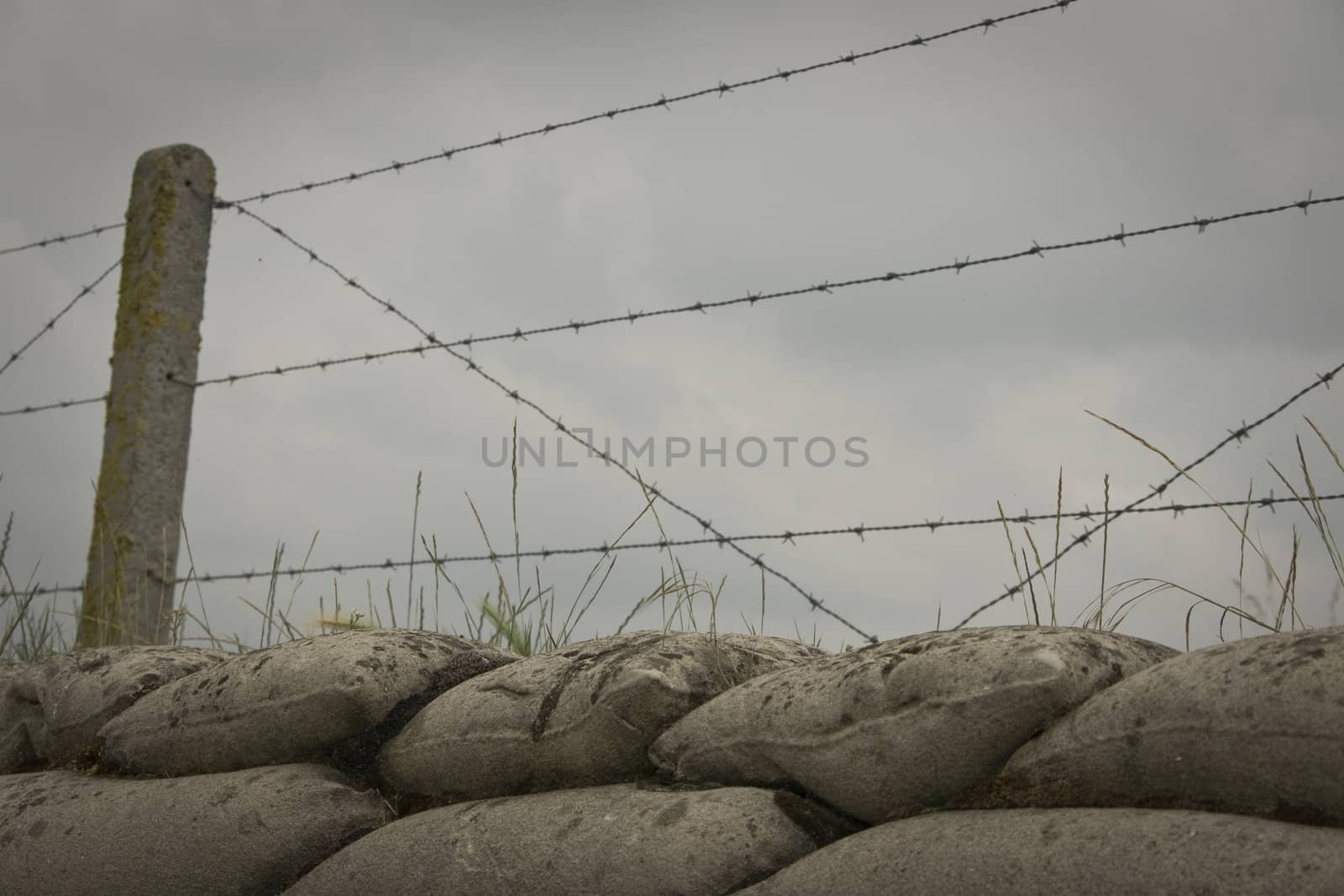 Barbed wire by Claudine