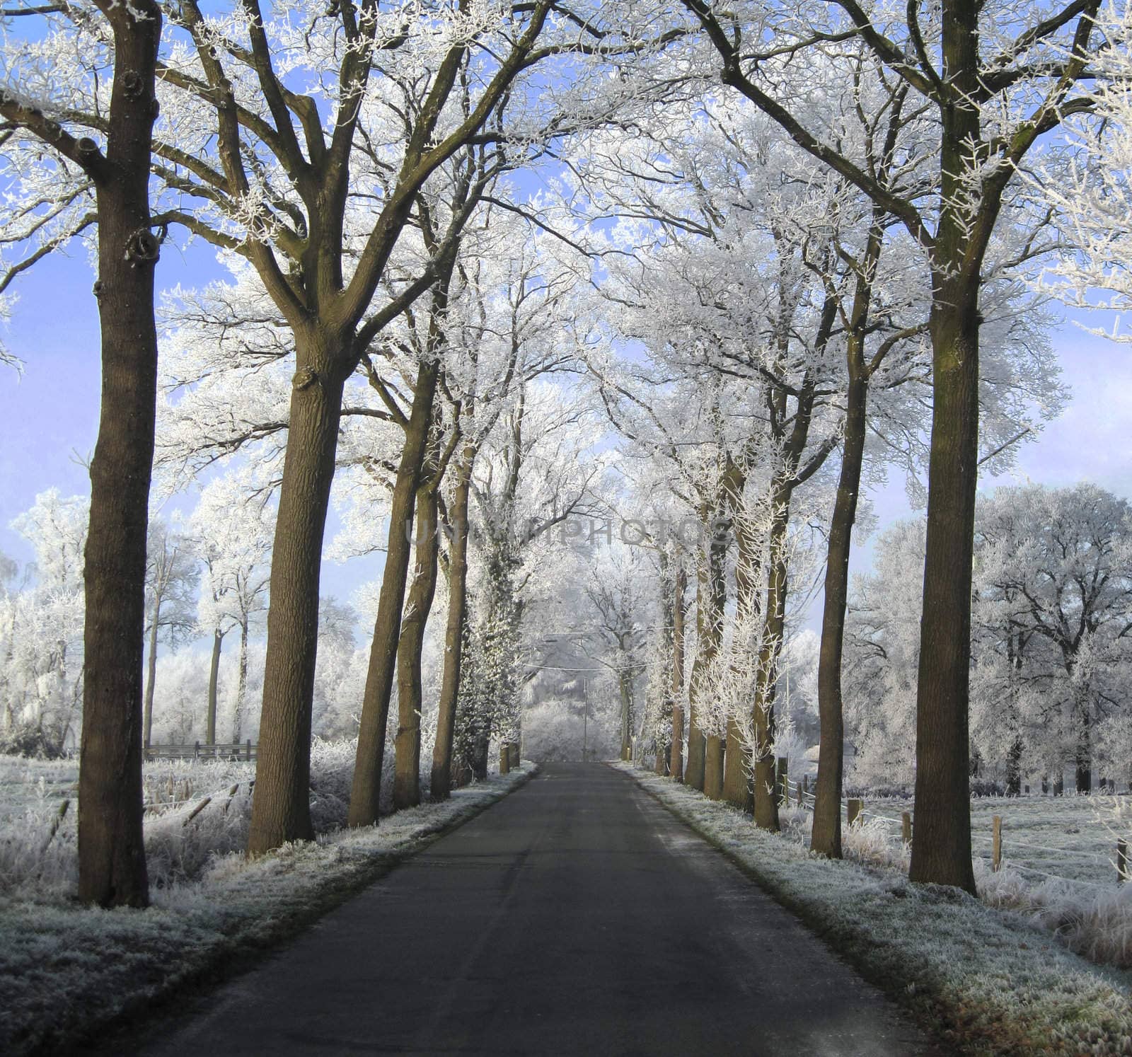 Winter Belgium by Claudine