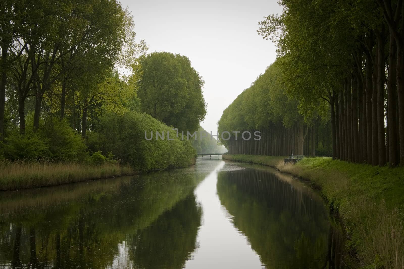 Trees bordering canal in Damme Flanders