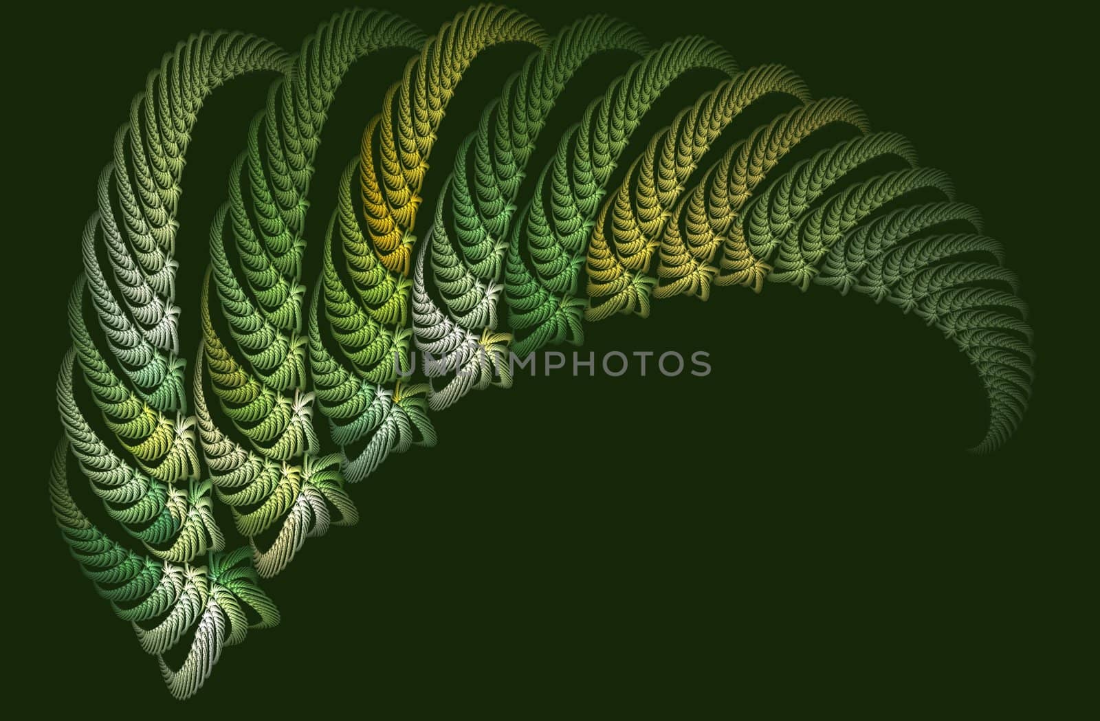 a repeating fractal rendering resembling a fern leaf