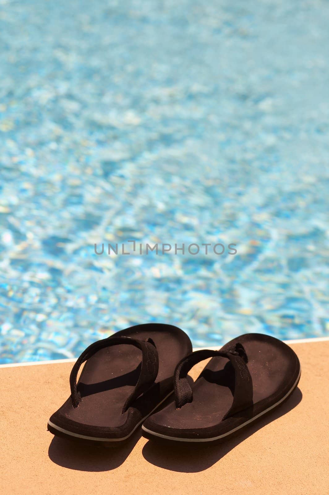 summer pool scene