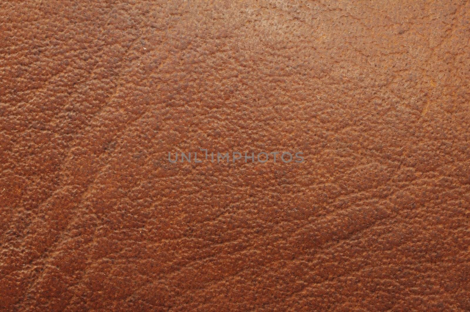 brown leather textile texture or background with copyspace