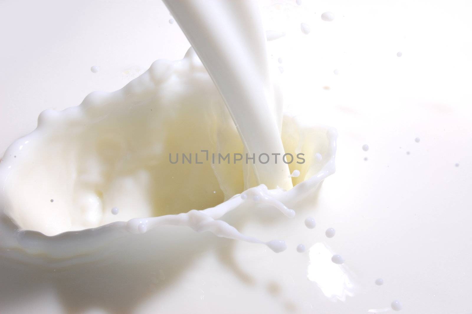 milk splashes with many drops into fresh milk
