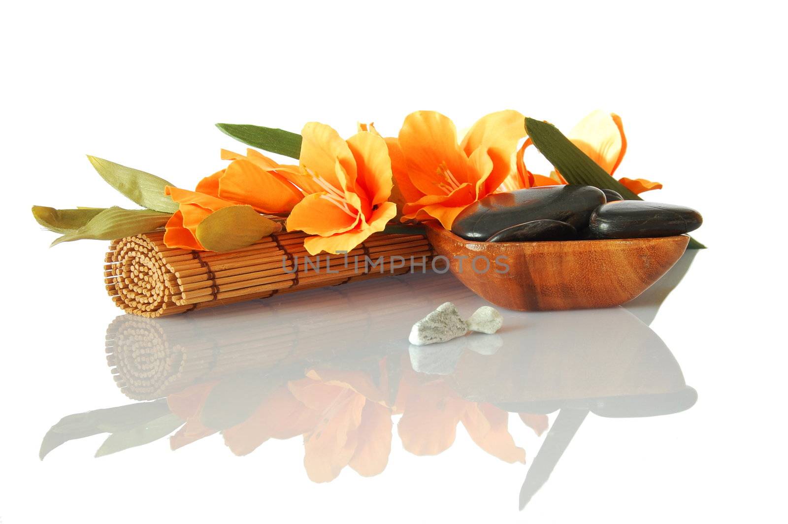 spa zen and wellness still life isolated on white background