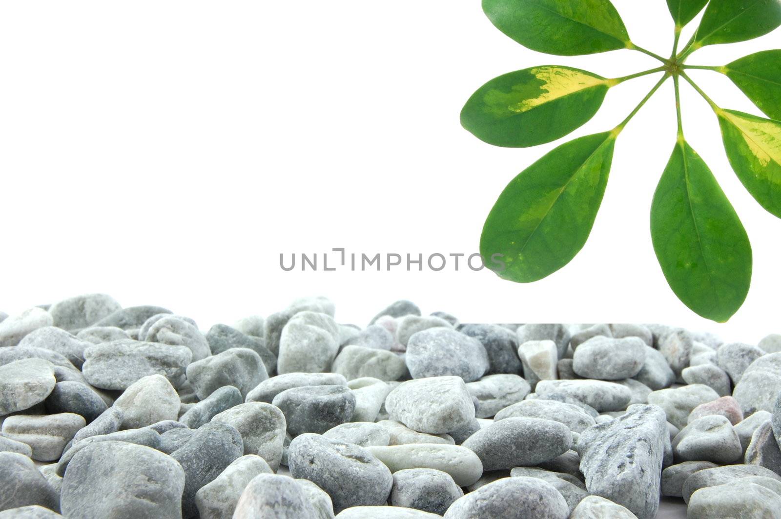 stones and leaves with copy space for text message