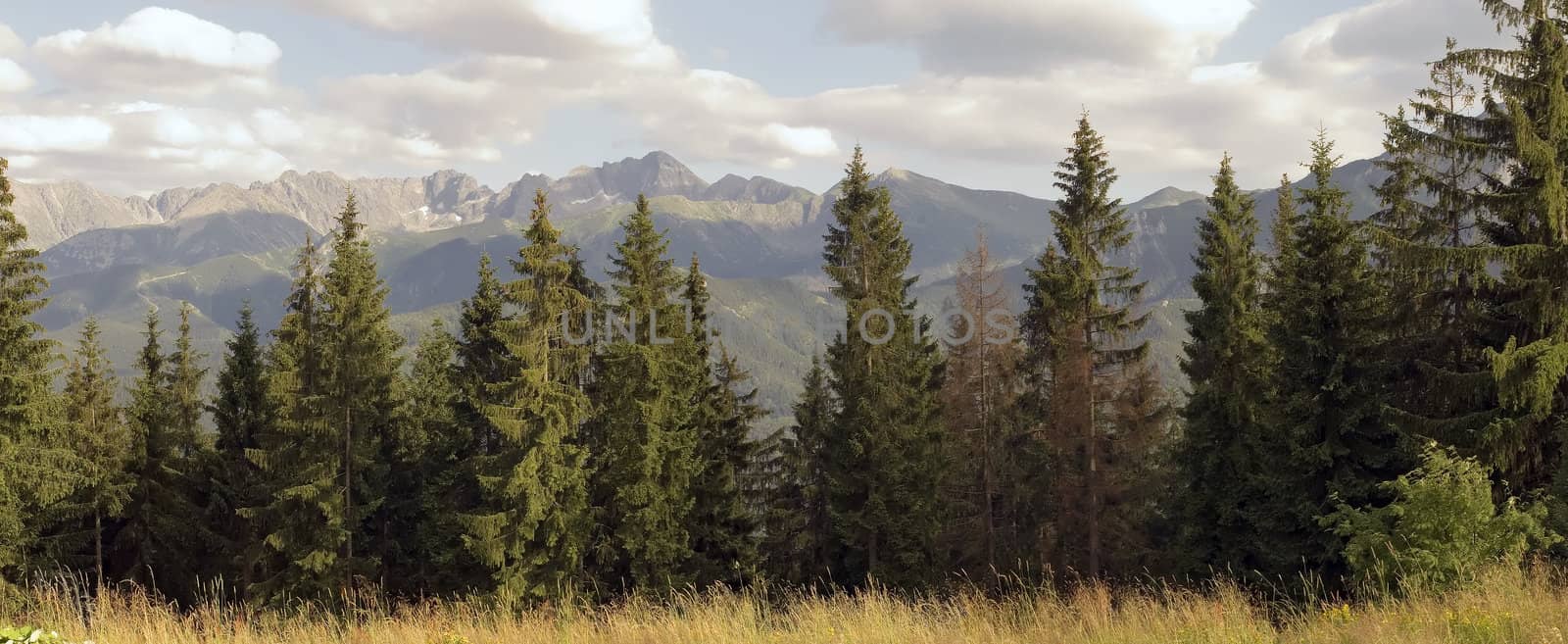 View on high Tatra mountains in south of Poland