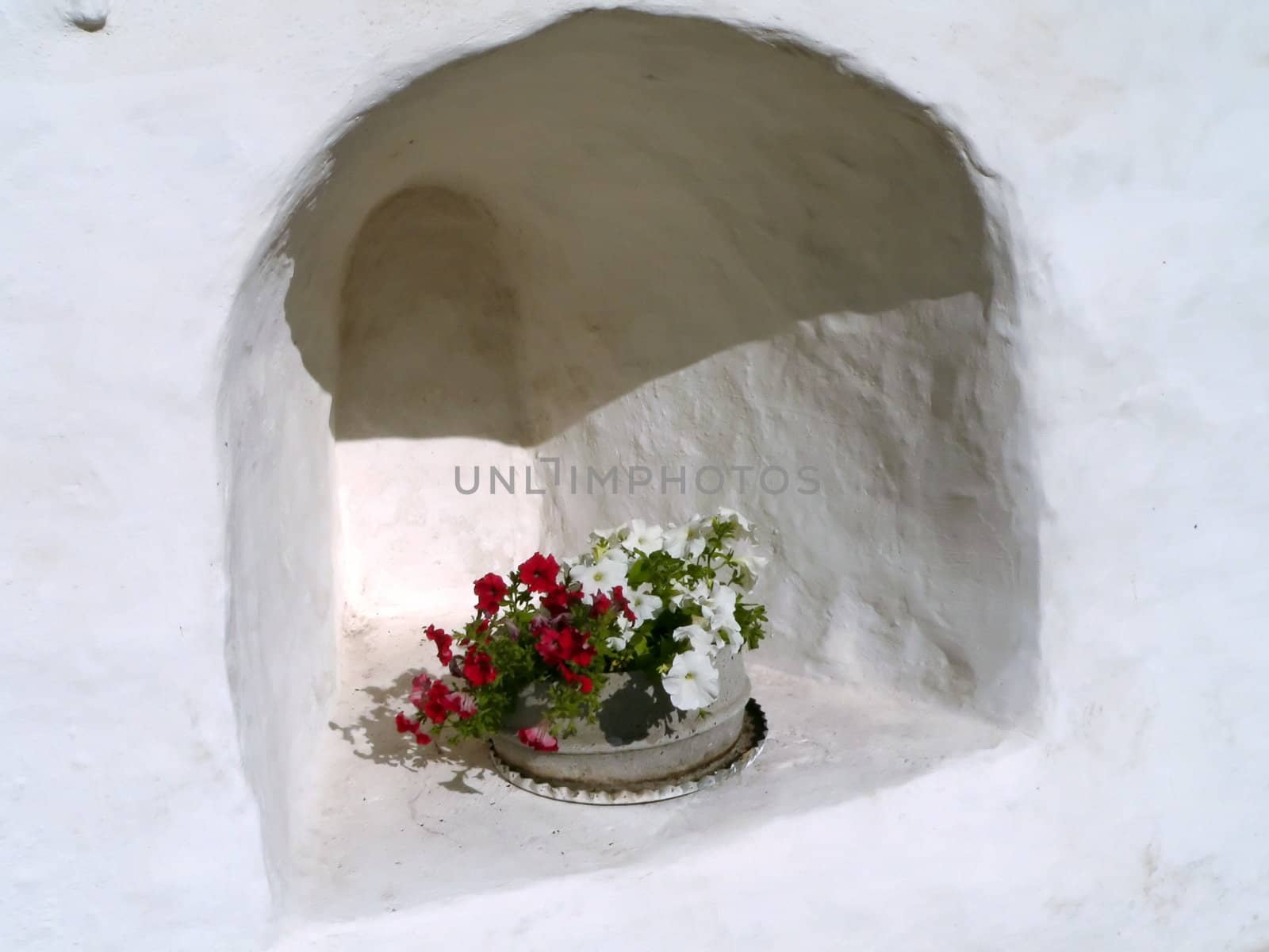 Flowerpot in niche of  white wall.