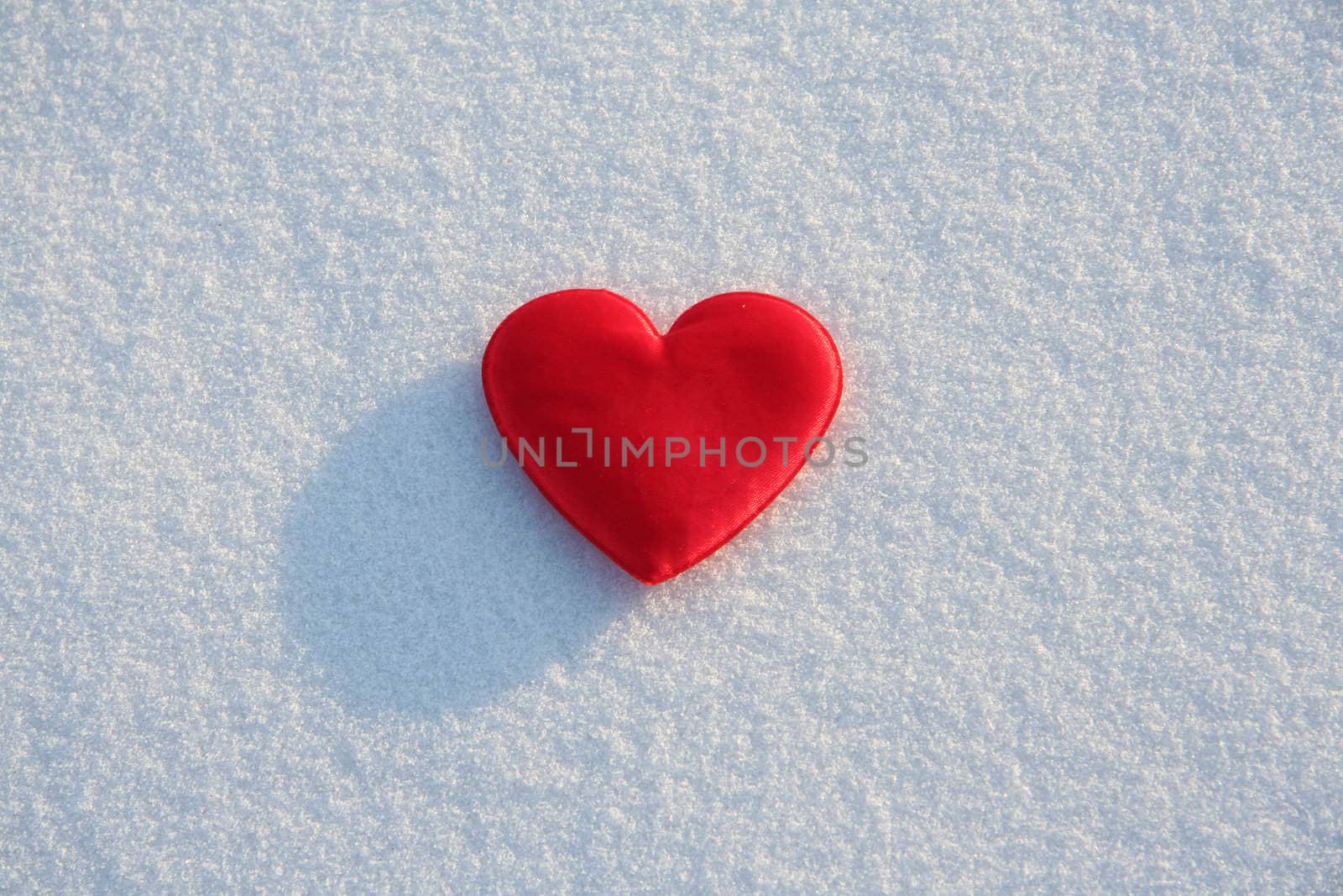 
Red silk heart on the snow